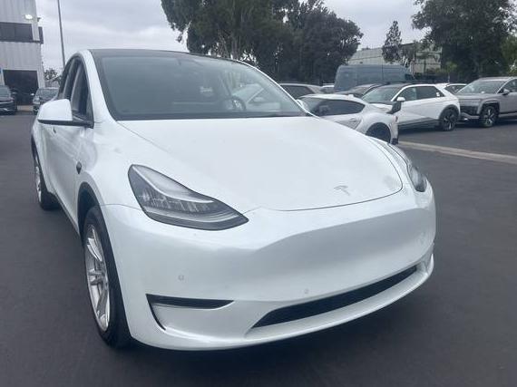 TESLA MODEL Y 2021 5YJYGDEE3MF142618 image